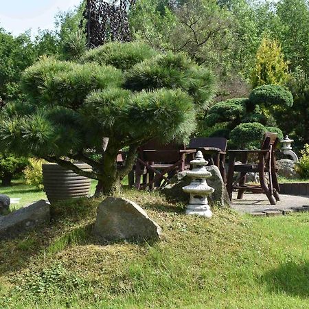 Ogród Shinrin Yoku Odpoczynek w Lesie Villa Srokowo Exterior foto