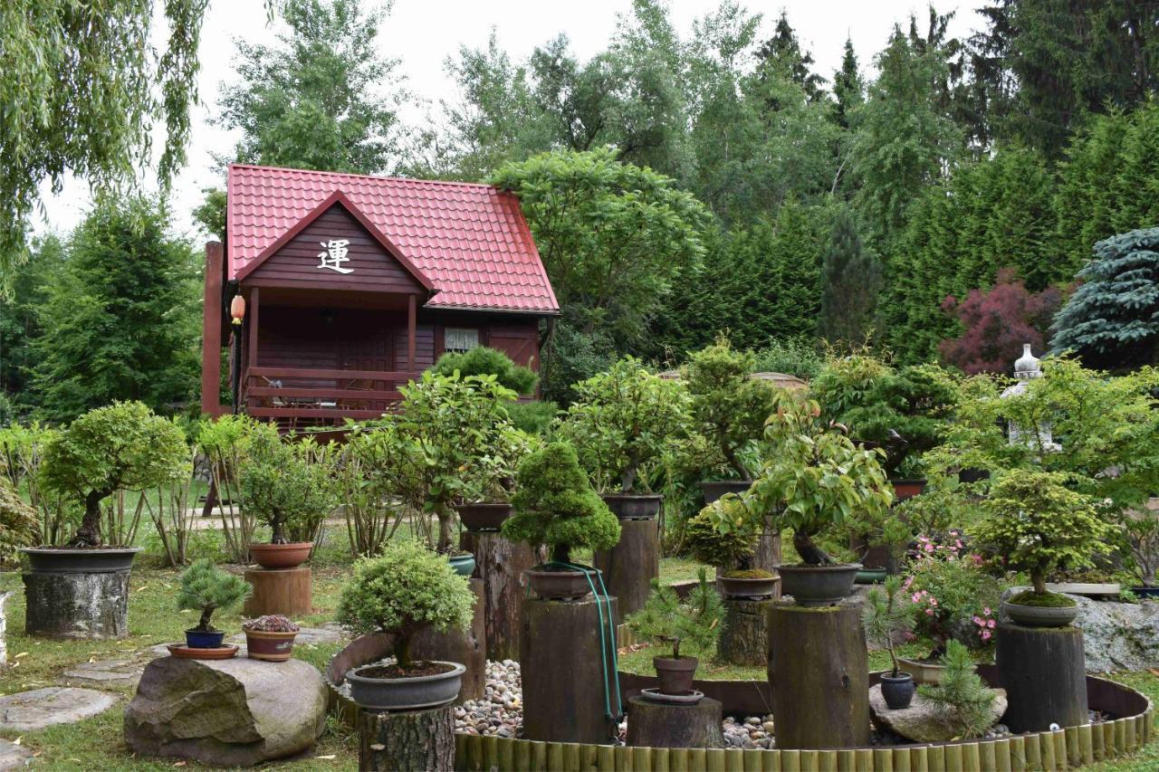 Ogród Shinrin Yoku Odpoczynek w Lesie Villa Srokowo Exterior foto