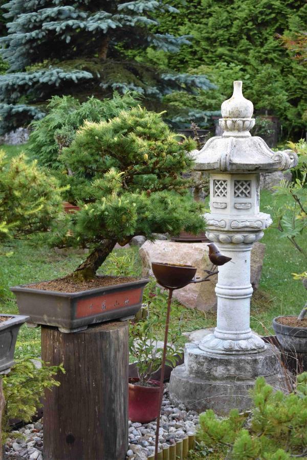 Ogród Shinrin Yoku Odpoczynek w Lesie Villa Srokowo Exterior foto
