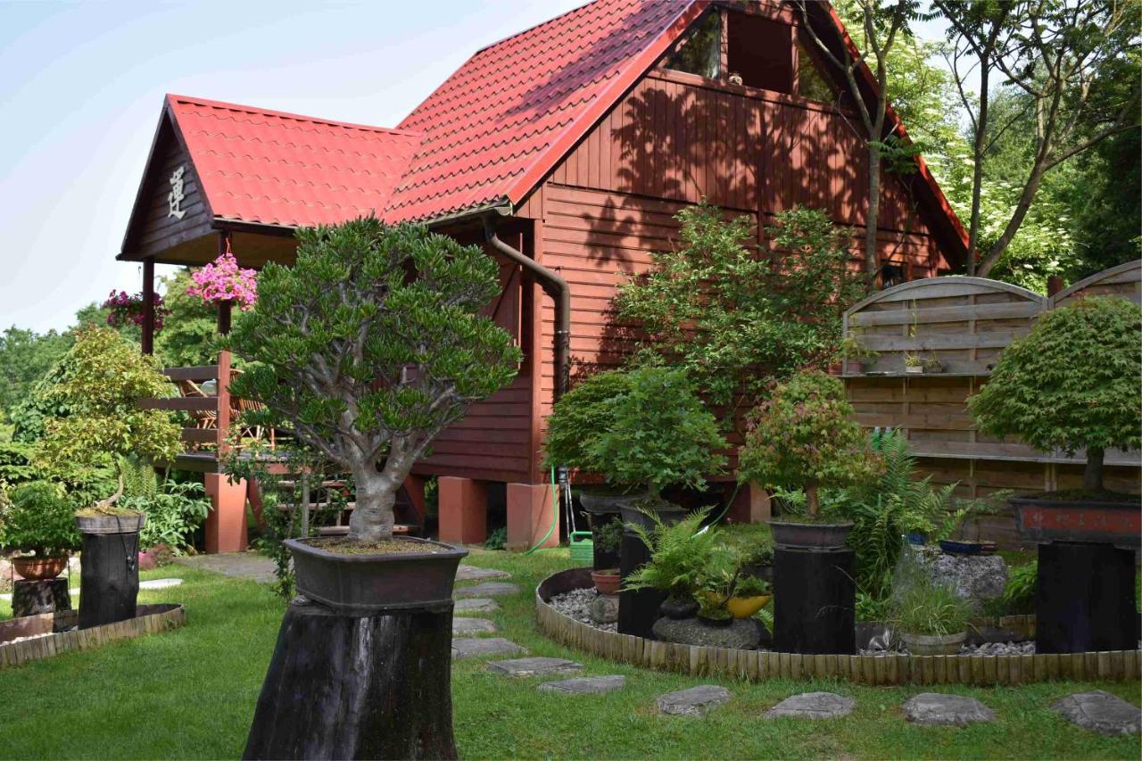 Ogród Shinrin Yoku Odpoczynek w Lesie Villa Srokowo Exterior foto